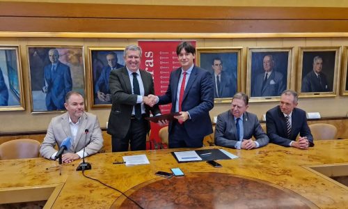 WhatsApp Image 2024-10-17 at 13.33.10 (002) - copia