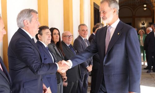 WhatsApp Image 2024-10-22 at 11.24.44 - copia