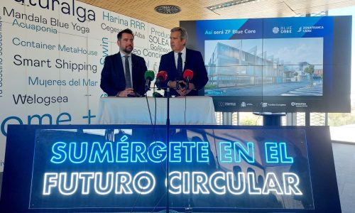 WhatsApp Image 2024-11-05 at 16.55.56 - copia