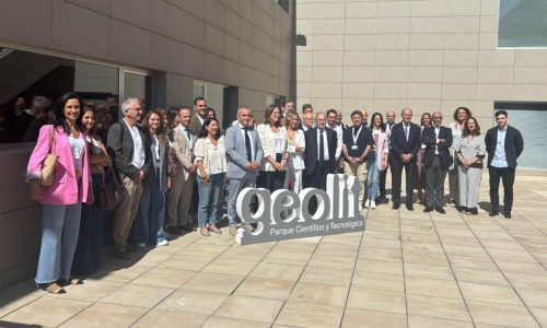 WhatsApp Image 2025-09-25 at 17.49.00