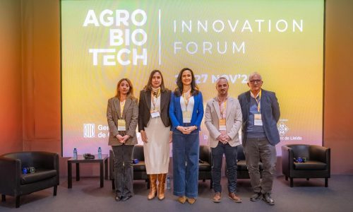 WhatsApp Image 2025-11-27 at 17.29.37