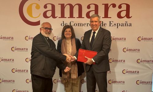 WhatsApp Image 2026-02-19 at 11.40.06